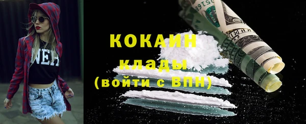 индика Абаза