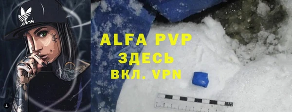 индика Абаза