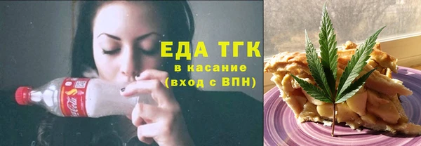 индика Абаза