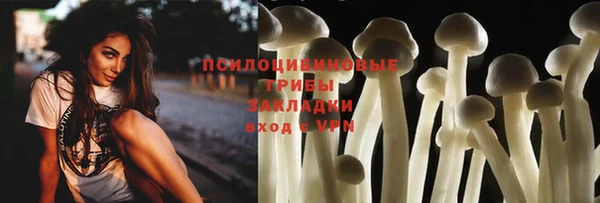 стаф Абинск
