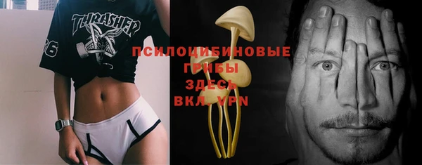 стафф Саяногорск