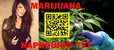 прущие грибы Заводоуковск