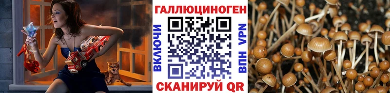 Псилоцибиновые грибы прущие грибы Вичуга