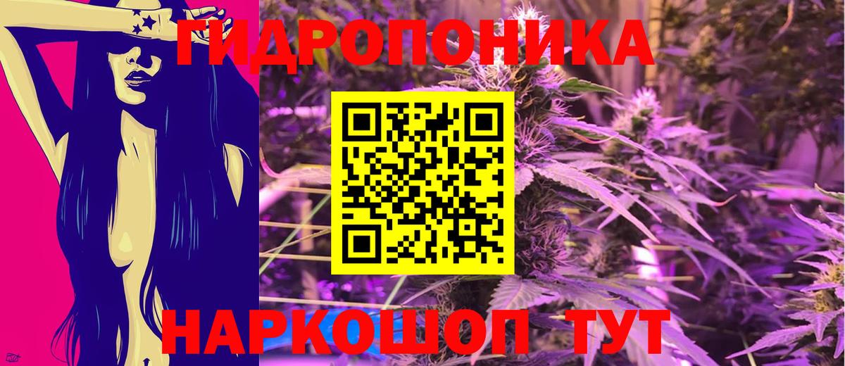 Конопля OG Kush  Каннабис планчик  Канабис план  Вичуга  Вход с VPN  Конопля тримм 